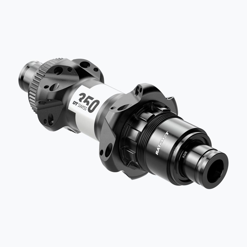 DT Swiss 35P 142/12 ROCL AXDR R24 BM ASM W zadný náboj čierny