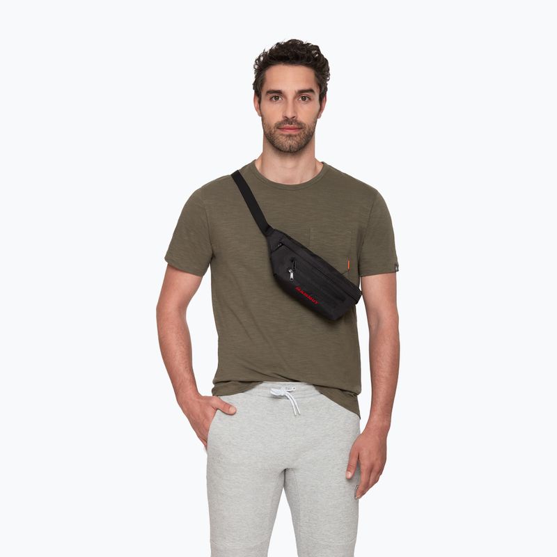 Ľadvinka Mammut Classic Bumbag 1.5 l black 13