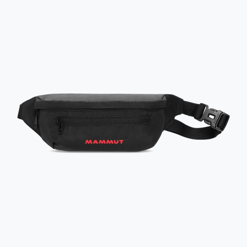 Ľadvinka Mammut Classic Bumbag 2 l black 6