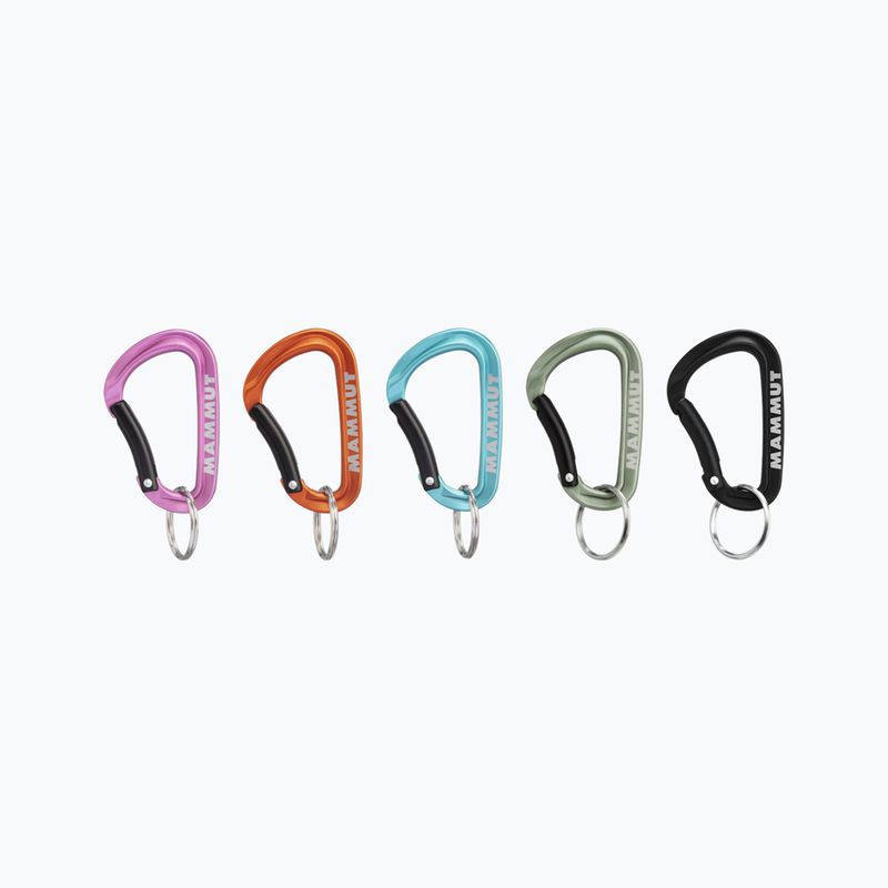 Mammut Mini karabína Classic Keylock S 9000 farebná
