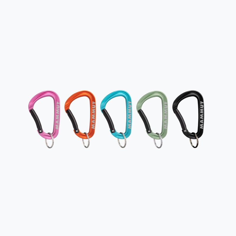 Mammut Mini karabína Workhorse Keylock L 9000 farba