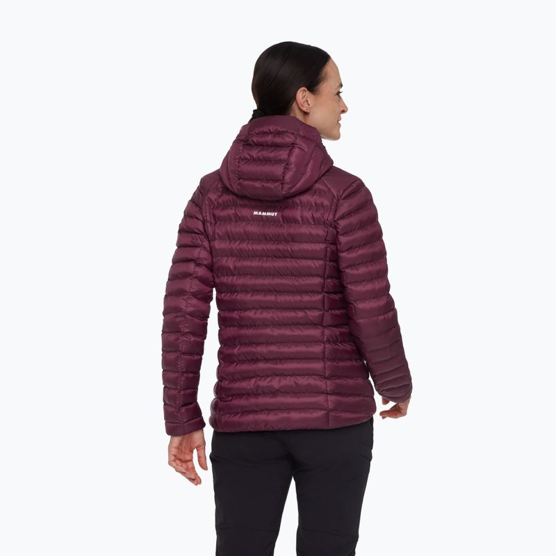 Dámska zateplená bunda Mammut Albula IN Hooded wine/black 2