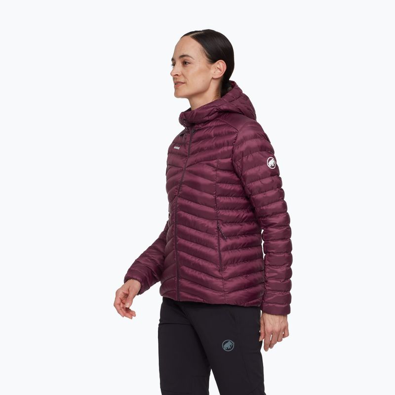 Dámska zateplená bunda Mammut Albula IN Hooded wine/black 3