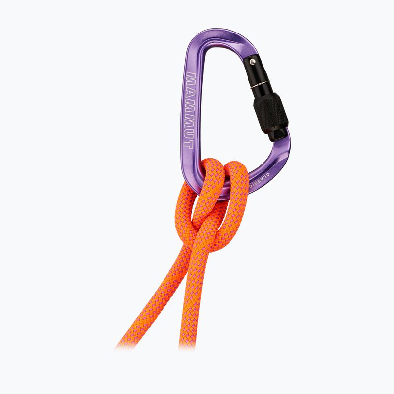 Karabína Mammut Classic HMS Screwgate screw gate/alpine calamint 2
