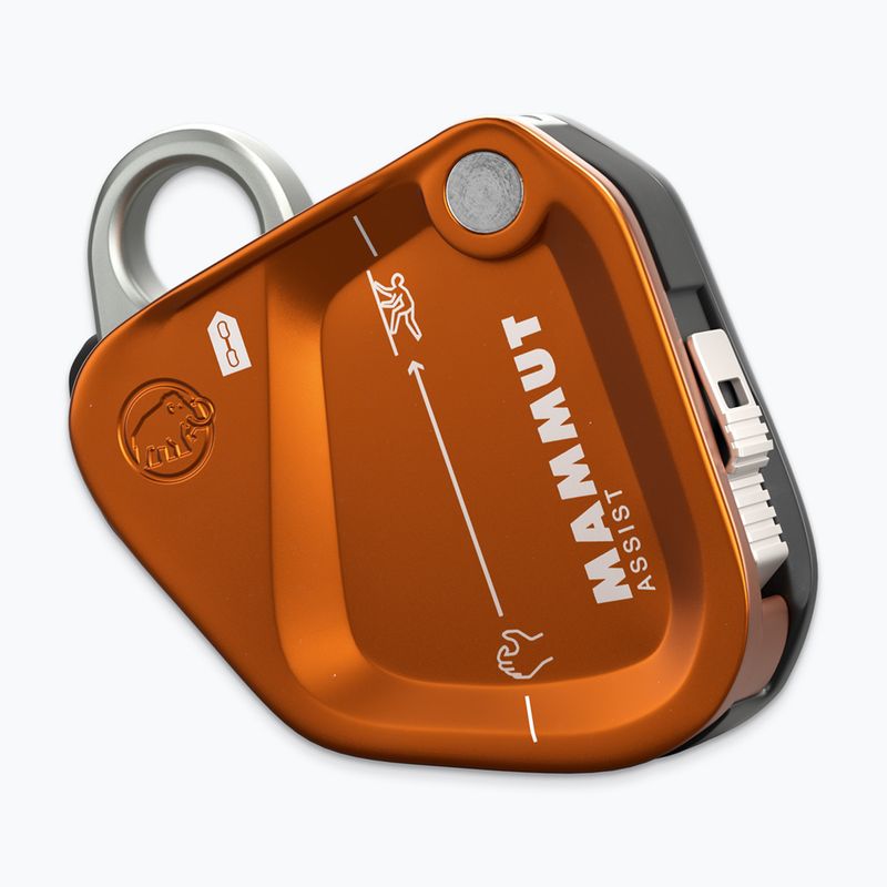 Istiace zariadenie Mammut Assist Belay Resistor gold 2