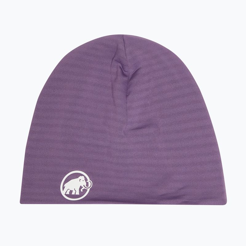 Zimná čiapka Mammut Taiss Beanie paloja