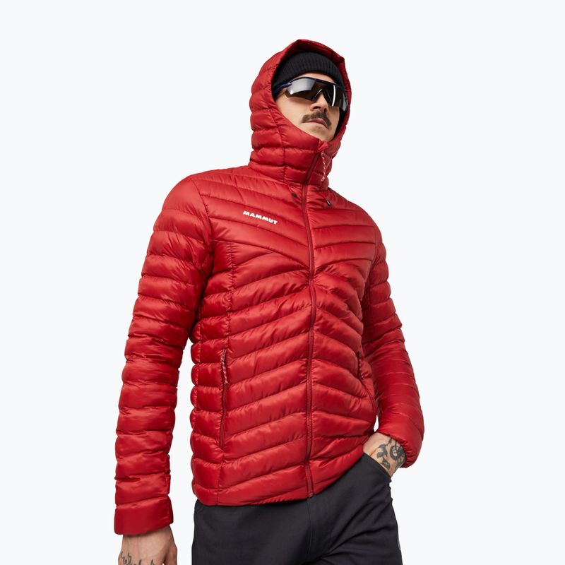 Pánska zateplená bunda Mammut Albula IN Hooded Jacket Men dark mammut red 3