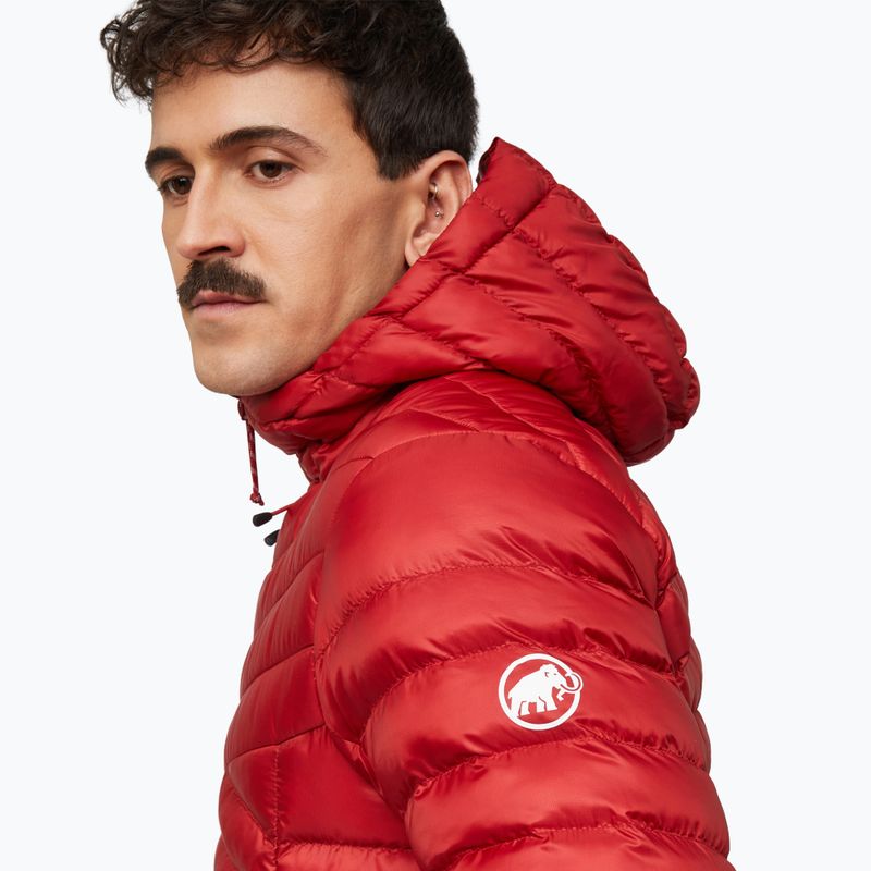 Pánska zateplená bunda Mammut Albula IN Hooded Jacket Men dark mammut red 6
