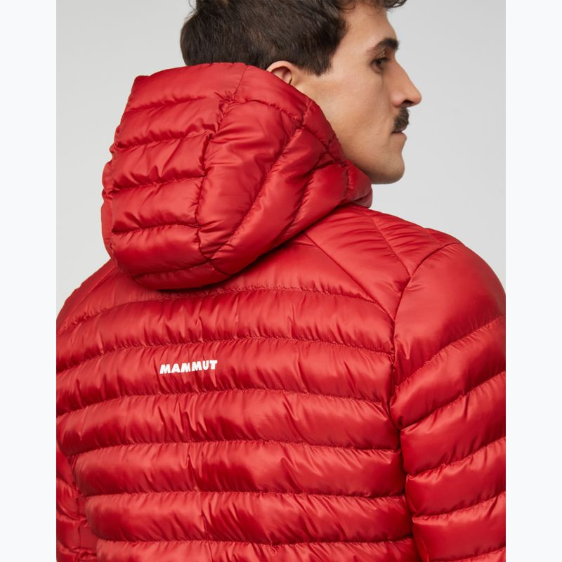 Pánska zateplená bunda Mammut Albula IN Hooded Jacket Men dark mammut red 7