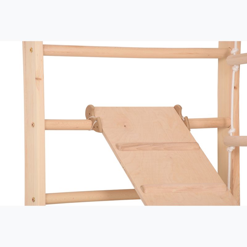 Gymnastický rebrík RINAGYM Kombi 3 14