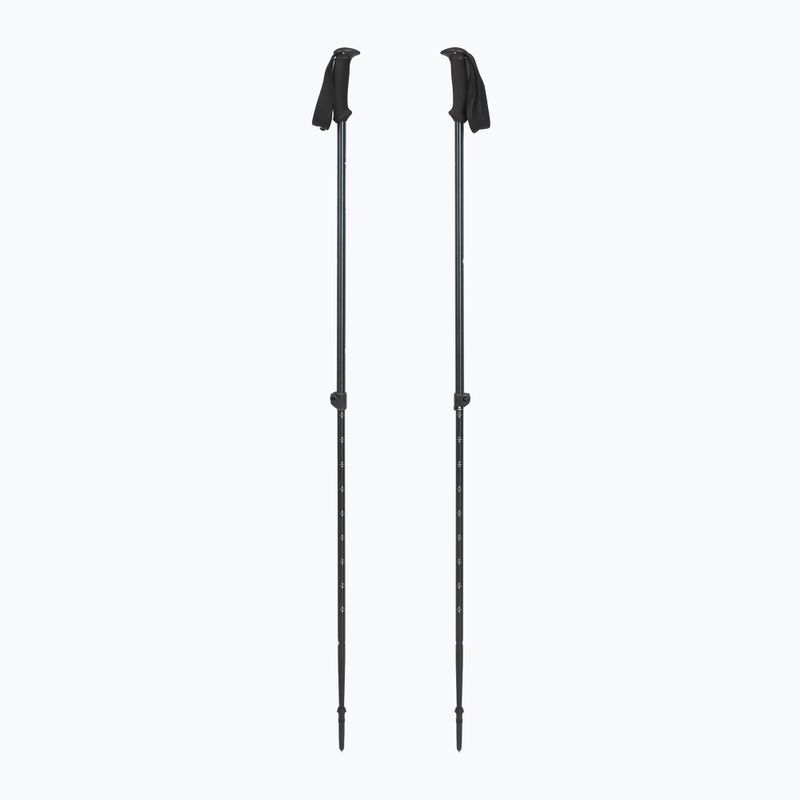 Trekingové palice Black Diamond Explorer 2 Trekking ink blue