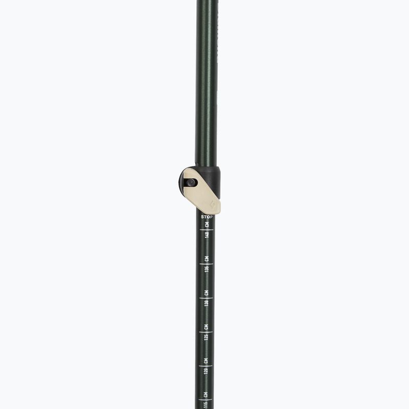 Trekingové palice Black Diamond Trail Cork laurel green 4
