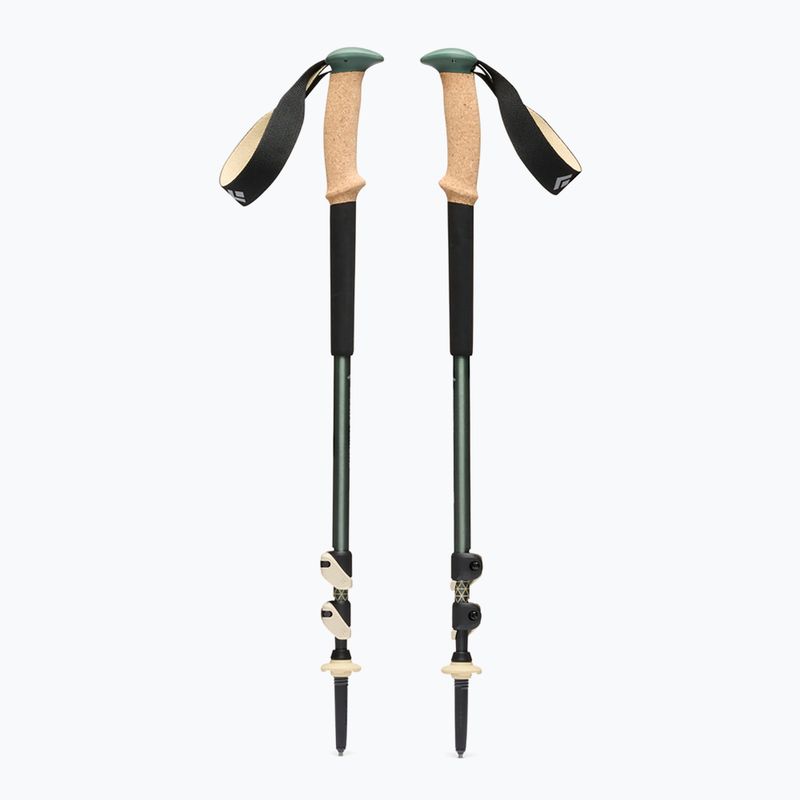 Trekingové palice Black Diamond Trail Cork laurel green 2