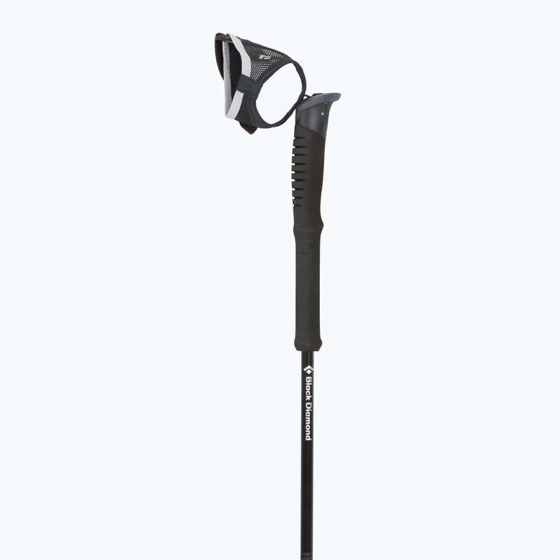 Trekingové palice Black Diamond Distance Carbon FKT black 2