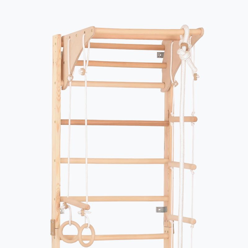 Gymnastický rebrík RINAGYM Kombi 2 5