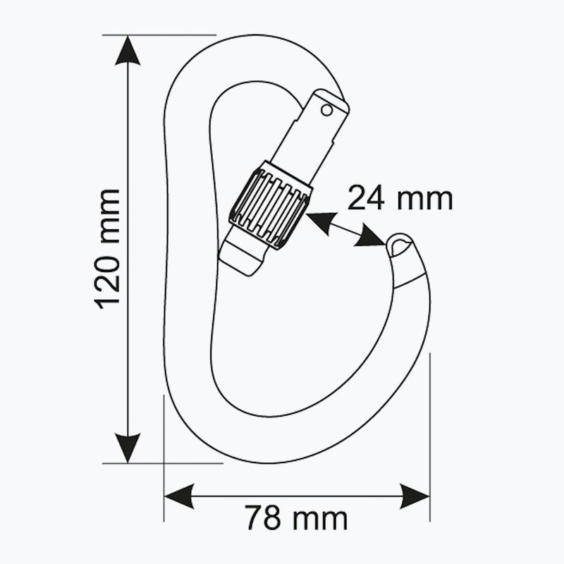 Karabínka CAMP Atom Lock black 3