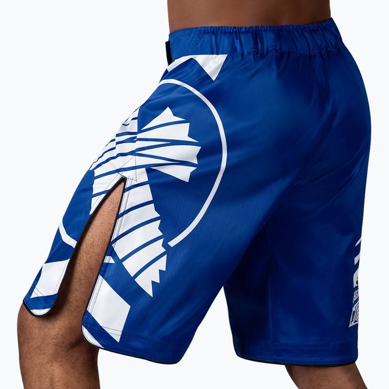 Hayabusa Icon Fight modro-biele tréningové šortky 3