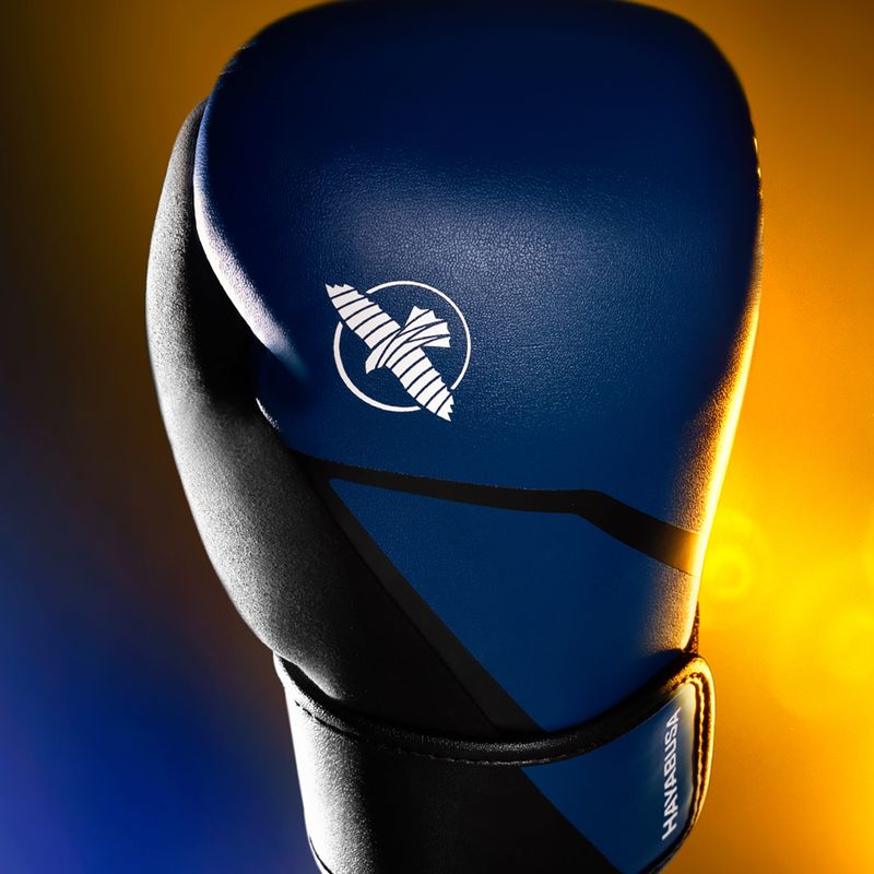 Boxerské rukavice Hayabusa E1 Boxing blue/black 11