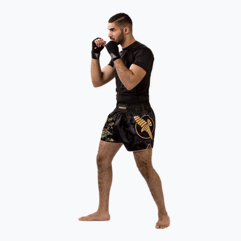 Pánske tréningové šortky Hayabusa Falcon Muay Thai black 3