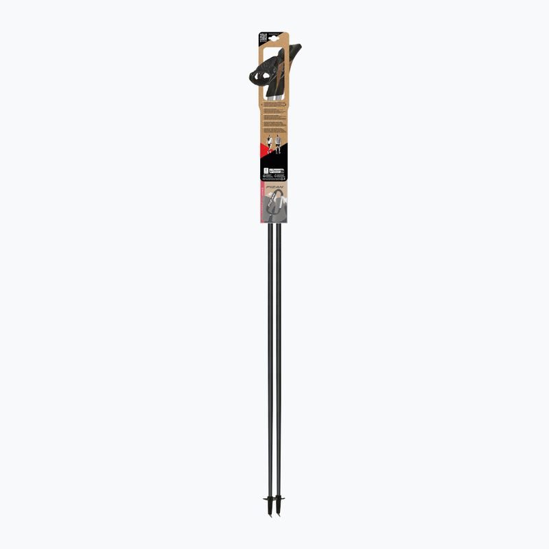 Palice na nordic walking Fizan Tekno Impulse grey 4