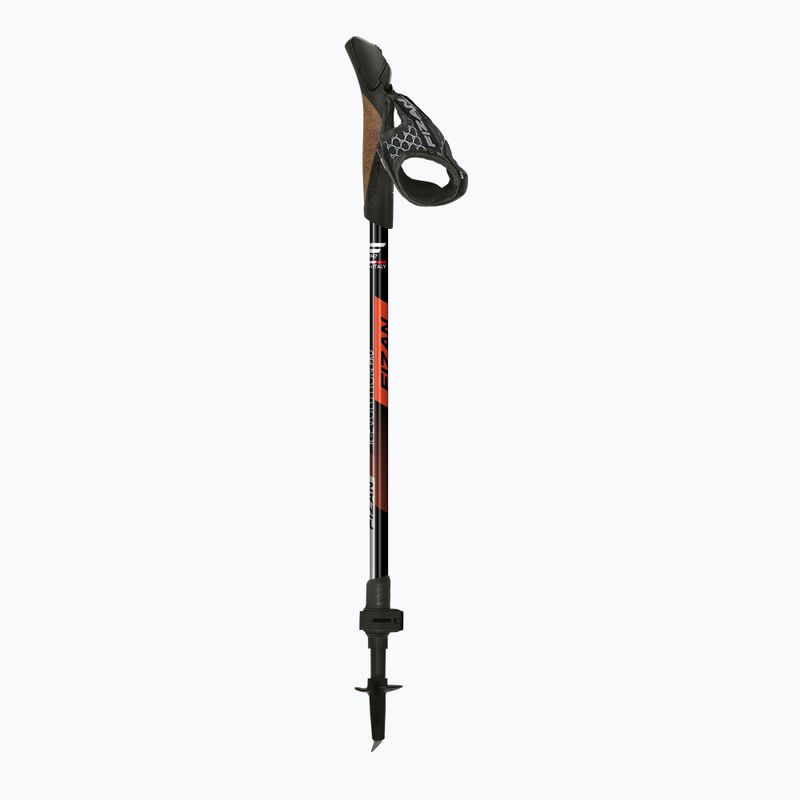 Palice na nordic walking Fizan R-Evolution Pro red 2