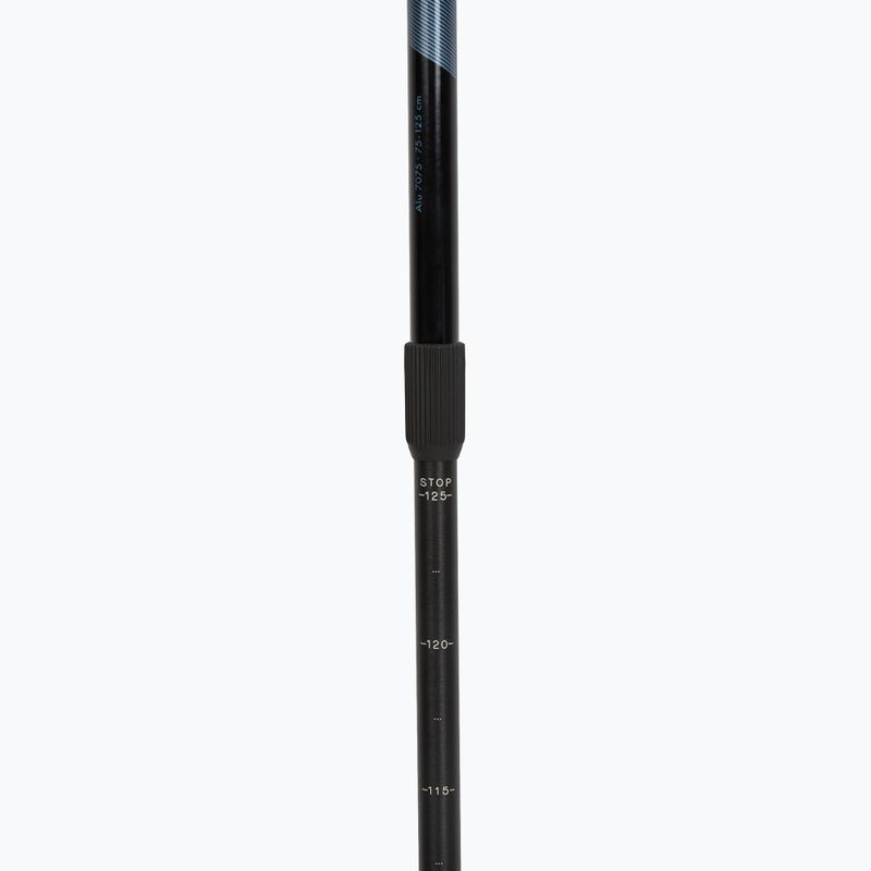 Palice na nordic walking Fizan Speed black 4
