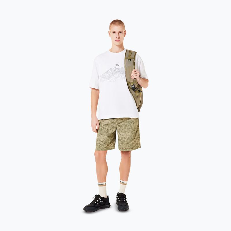 Pánske tričko Oakley Wired Mtn Scape Tee white 2