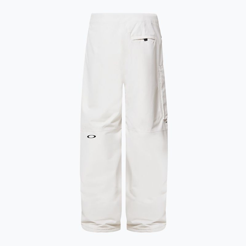 Pánske snowboardové nohavice Oakley Channel Cargo mist 9