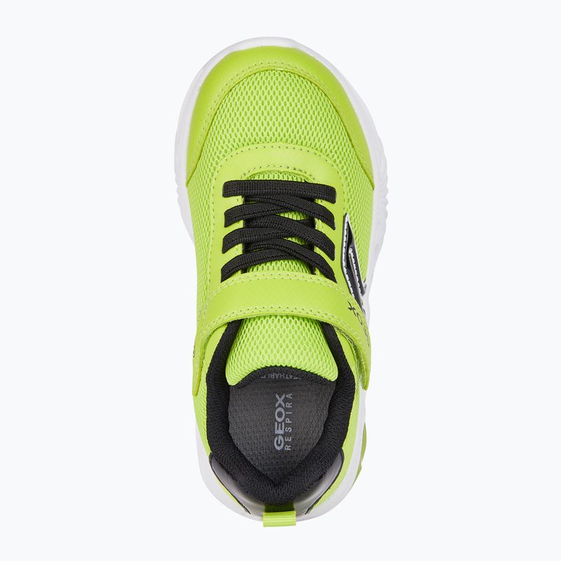 Juniorská obuv Geox Assister lime/black 7