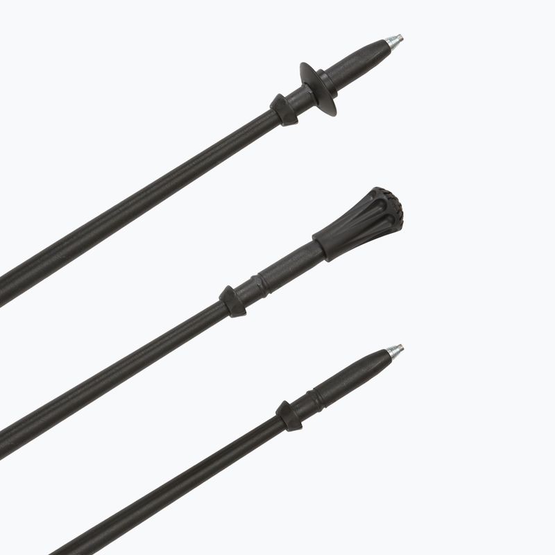 Nordic walking palice Fizan Walx Pro 6