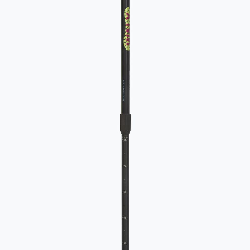 Nordic walking palice Fizan Walx Velocity 4