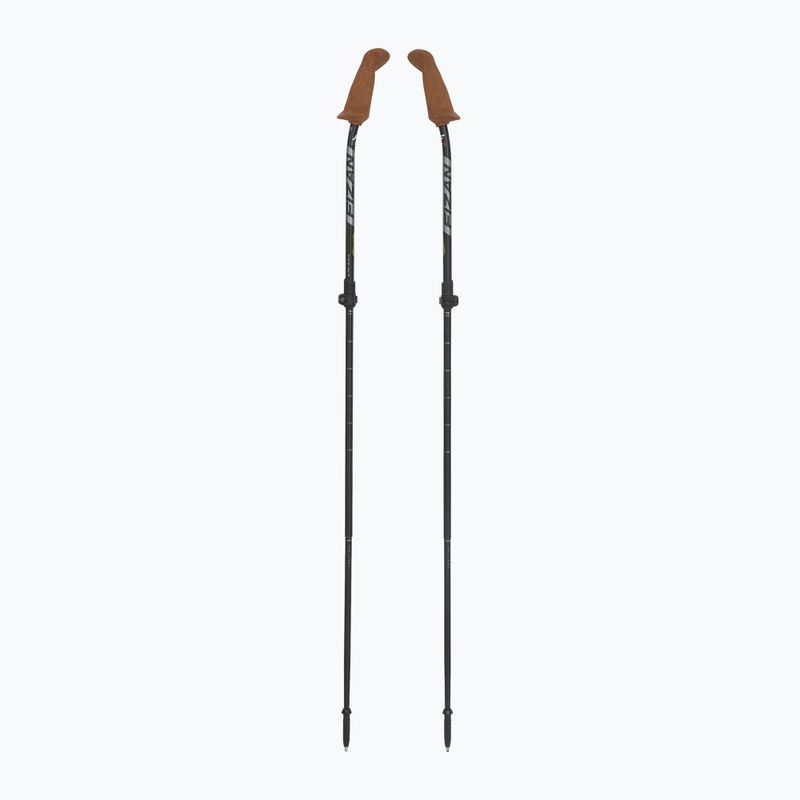 Palice na nordic walking Fizan Walx Xplorer šedé