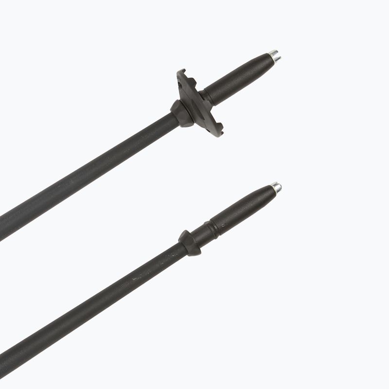 Trekingové palice Fizan Explorer beige/blue 6