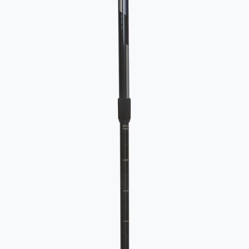 Nordic walking palice Fizan Speed ​​black 4