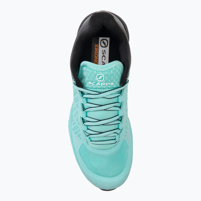 SCARPA Spin Ultra dámska bežecká obuv blue/black 33069 6