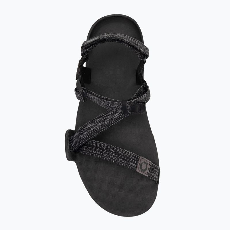 Pánske barefoot sandále Xero Shoes Z-Trail EV multi/black 5