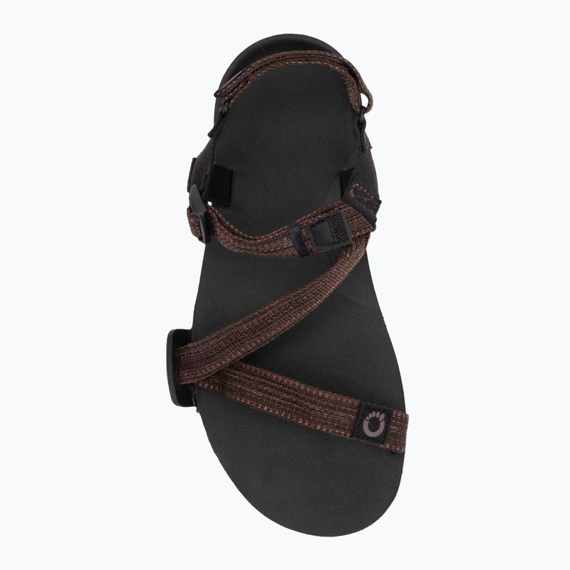Pánske barefoot sandále Xero Shoes Z-Trail EV multi/brown 5