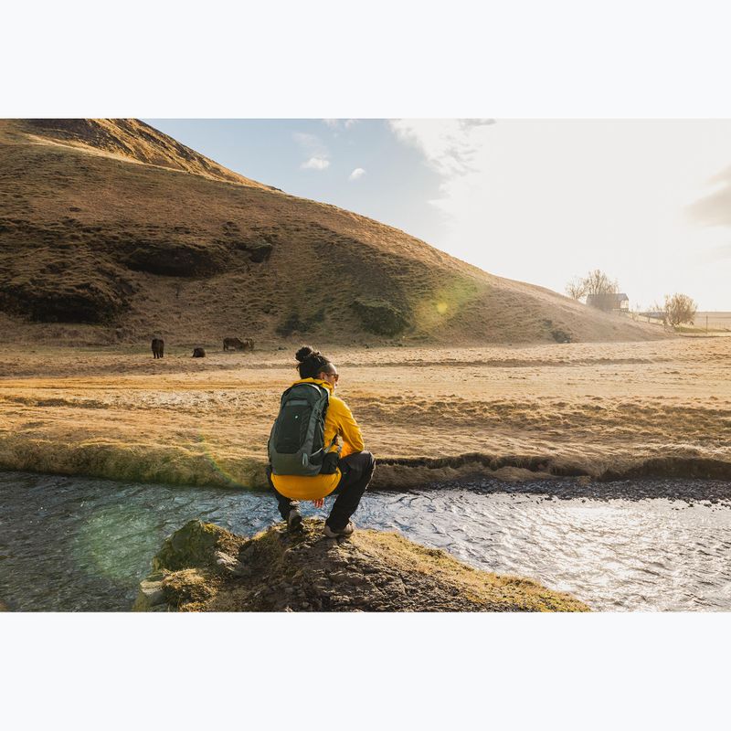 Pánsky turistický batoh Osprey Talon 22 l green canopy/pine leaf 8