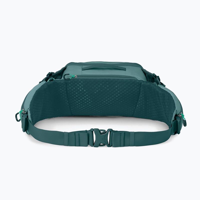Cyklistická ľadvinka Osprey Savu 5 l cascade blue 3
