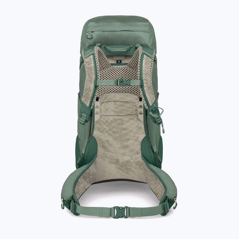 Pánsky turistický batoh Osprey Stratos 44 l pine leaf 3