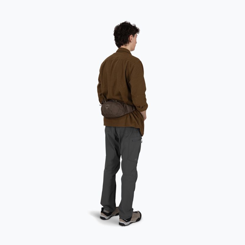 Ľadvinka Osprey Daylite Waist 2 l truffle brown 4