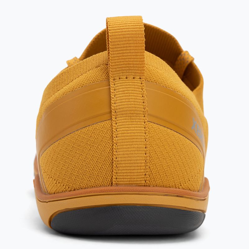 Pánske barefoot topánky Xero Shoes Nexus Knit gold 6