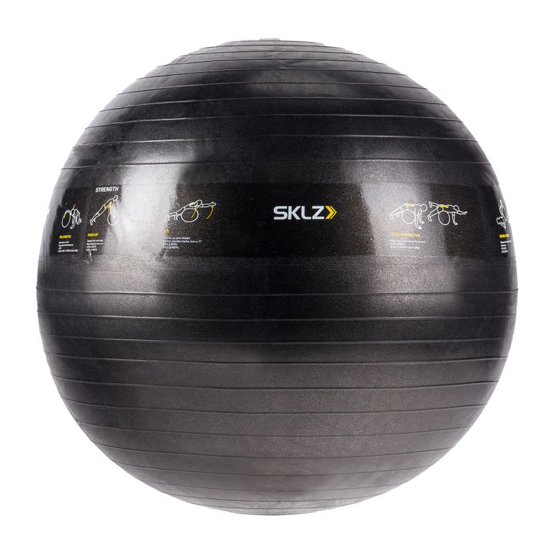 SKLZ TRAINER fitness lopta Sport Performance čierna 0509