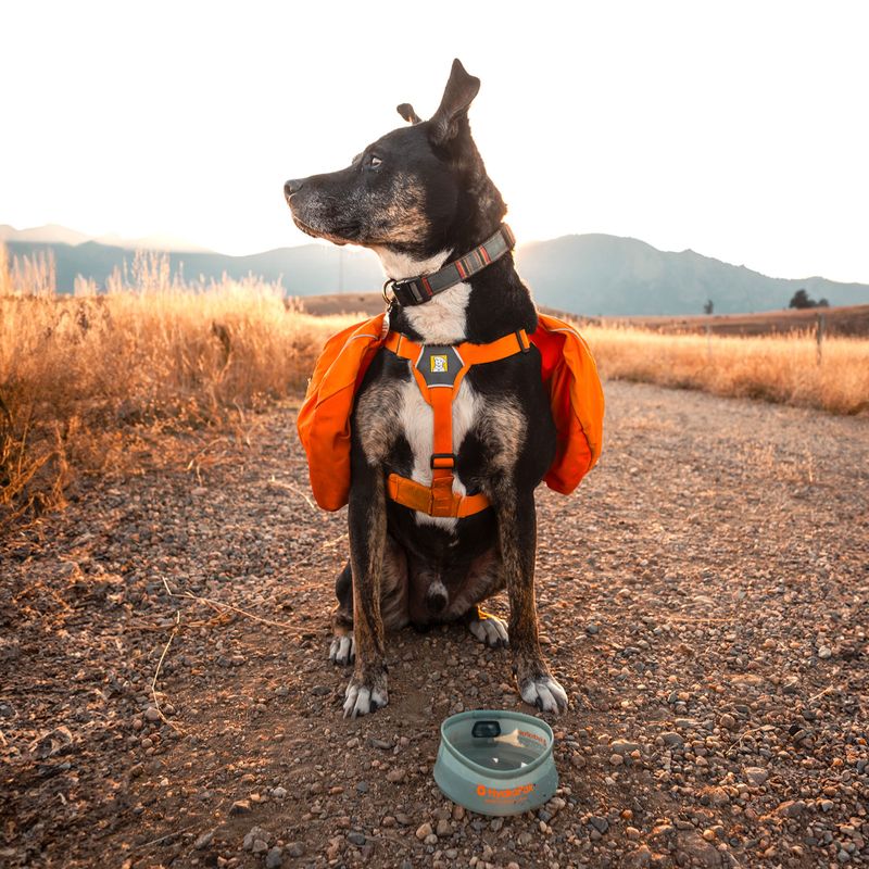 Miska pre psa HydraPak Rover sutro green 4