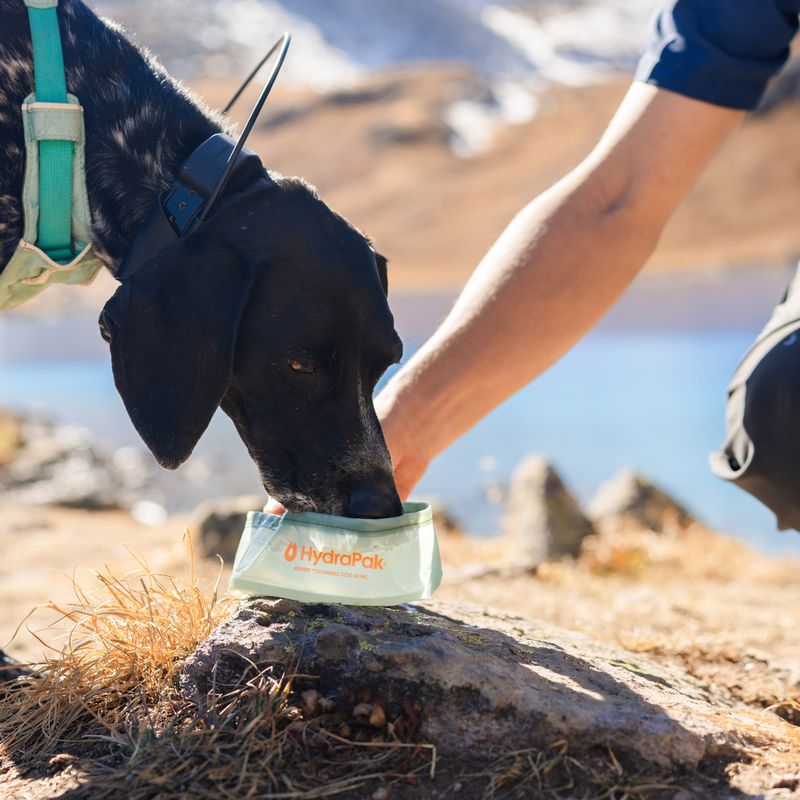 Miska pre psa HydraPak Rover sutro green 6