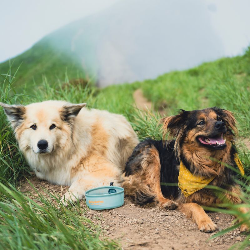 Miska pre psa HydraPak Rover sutro green 7