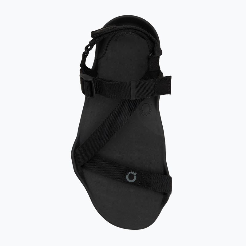 Pánske barefoot sandále Xero Shoes Z-Trek black 4