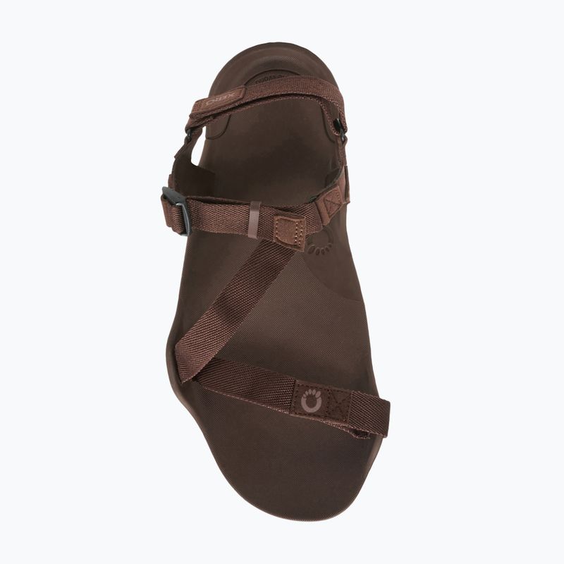 Pánske barefoot sandále Xero Shoes Z-Trek brown 7