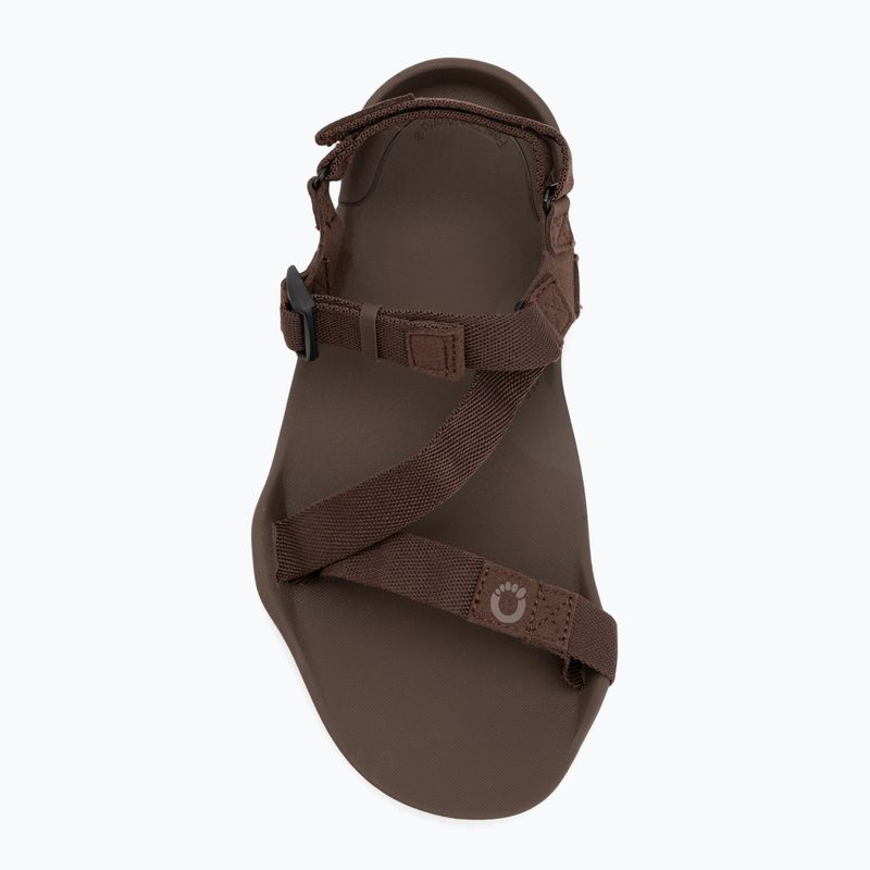 Pánske barefoot sandále Xero Shoes Z-Trek brown 5
