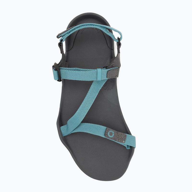 Dámske barefoot sandále Xero Shoes Z-Trek porcelain/blue 4